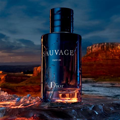 scent of dior sauvage|Dior Sauvage aftershave best price.